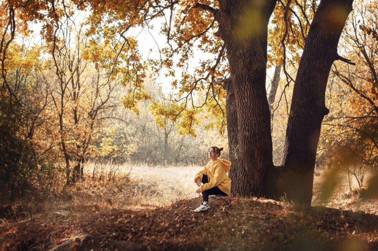 , Елена Энютина