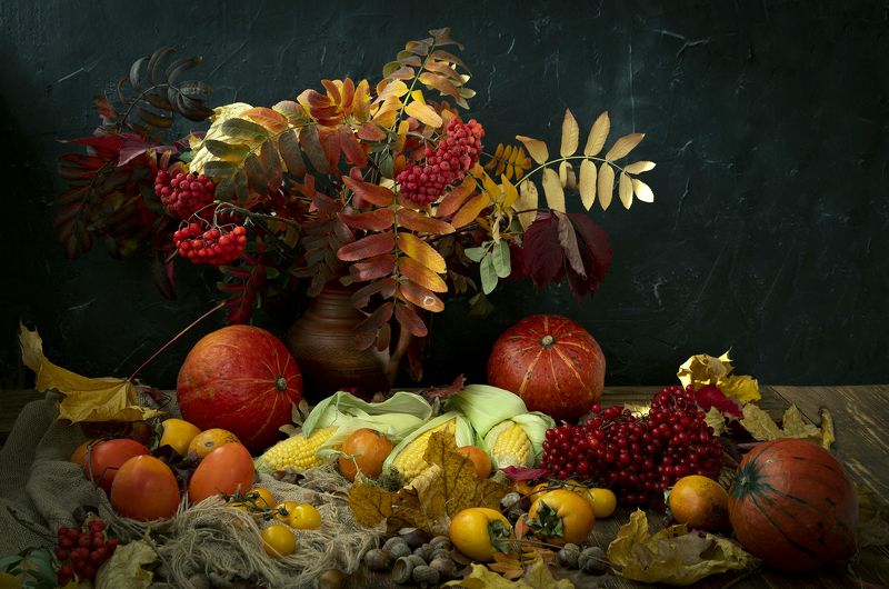 Натюморт, тыква, кукуруза, хурма , желуди, калина, рябина, мешковина, дерево, листья, фон, красный, желтый, оранжевый, черный Тыквы фото превью