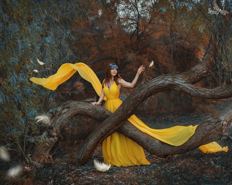 ЖЕЛТАЯ ПТИЧКА фото превью