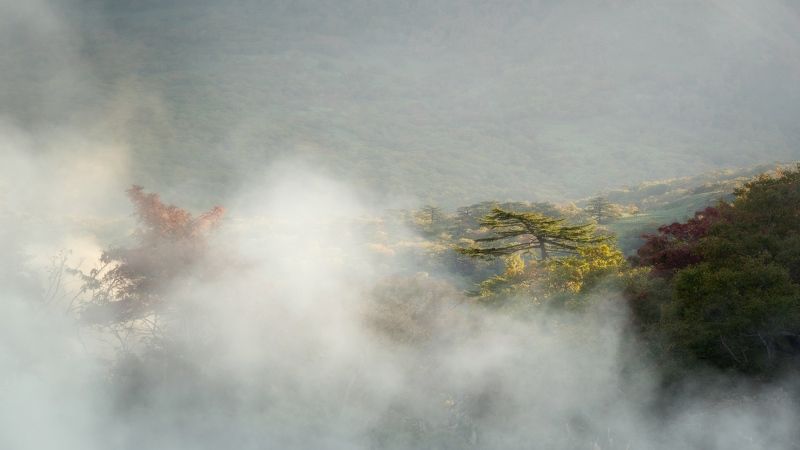 Призрачно все… фото превью