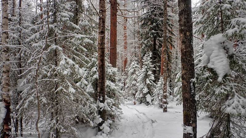пейзаж снег марта. Северный атмосферный парк Джонатана Свифта 2022 фото превью