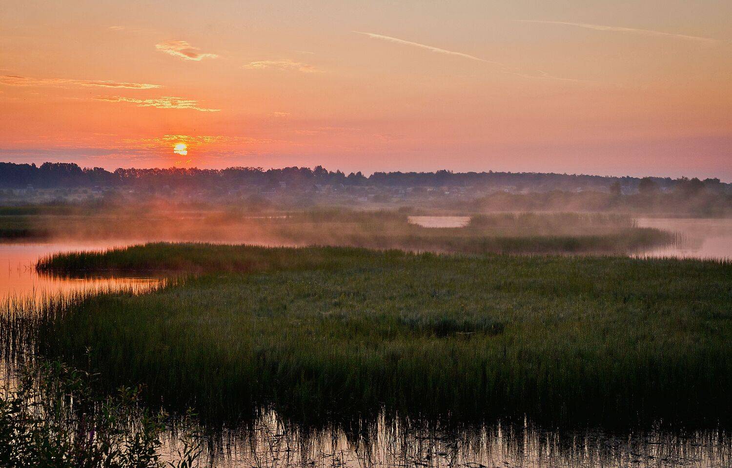 лето, пейзаж, отражение, вода, туман, рассвет, Alexey Belov