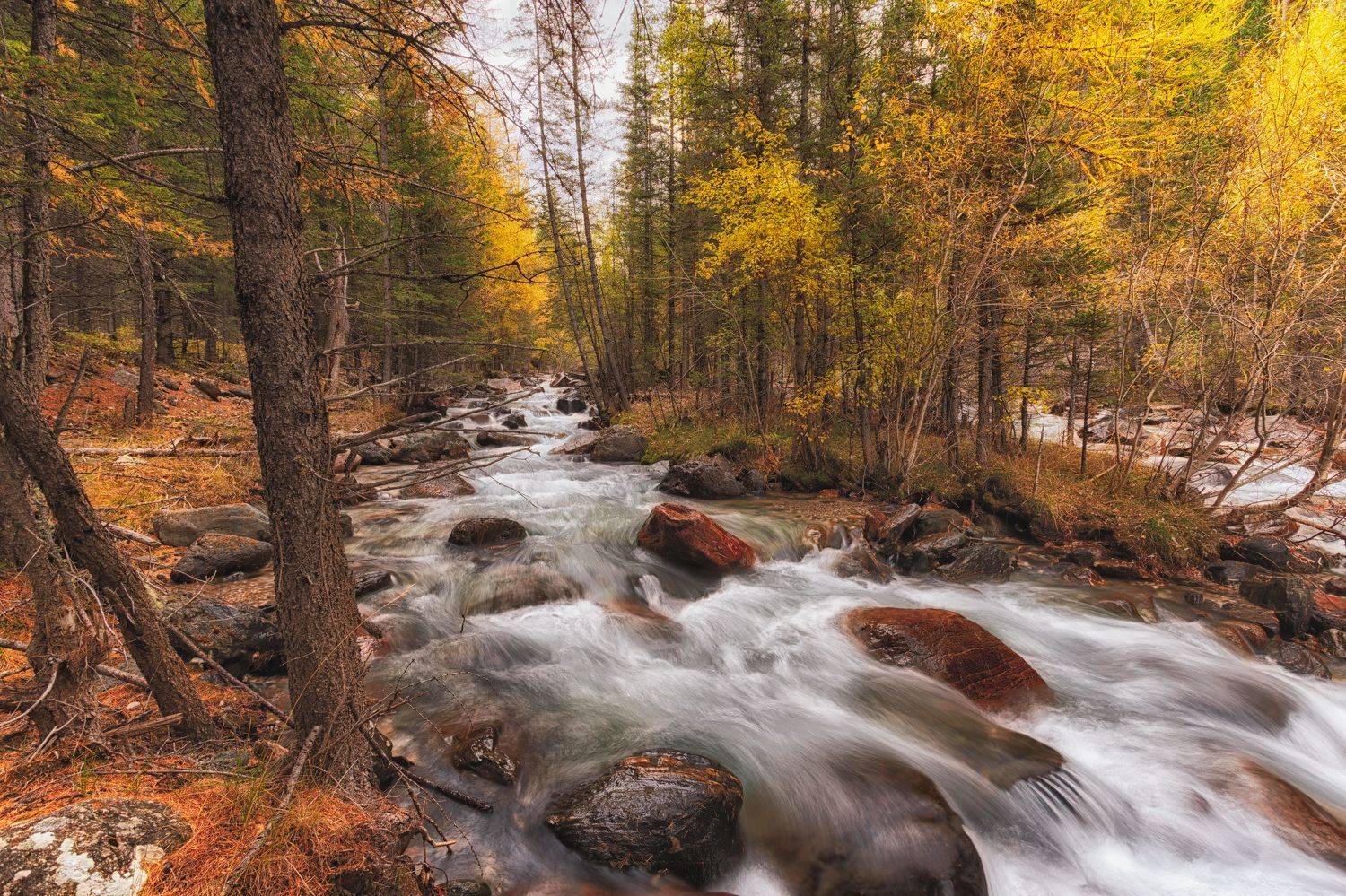 , Нигматуллин Руслан