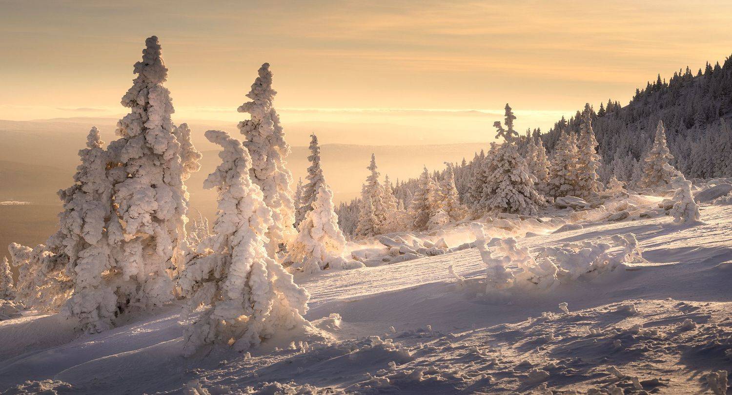 , Бирюкова Татьяна