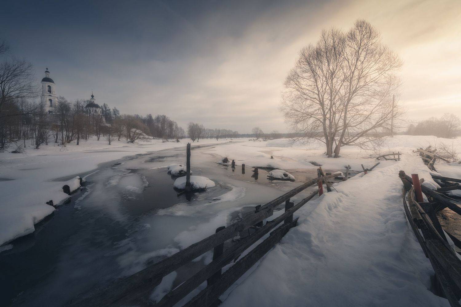 , Анна Политова