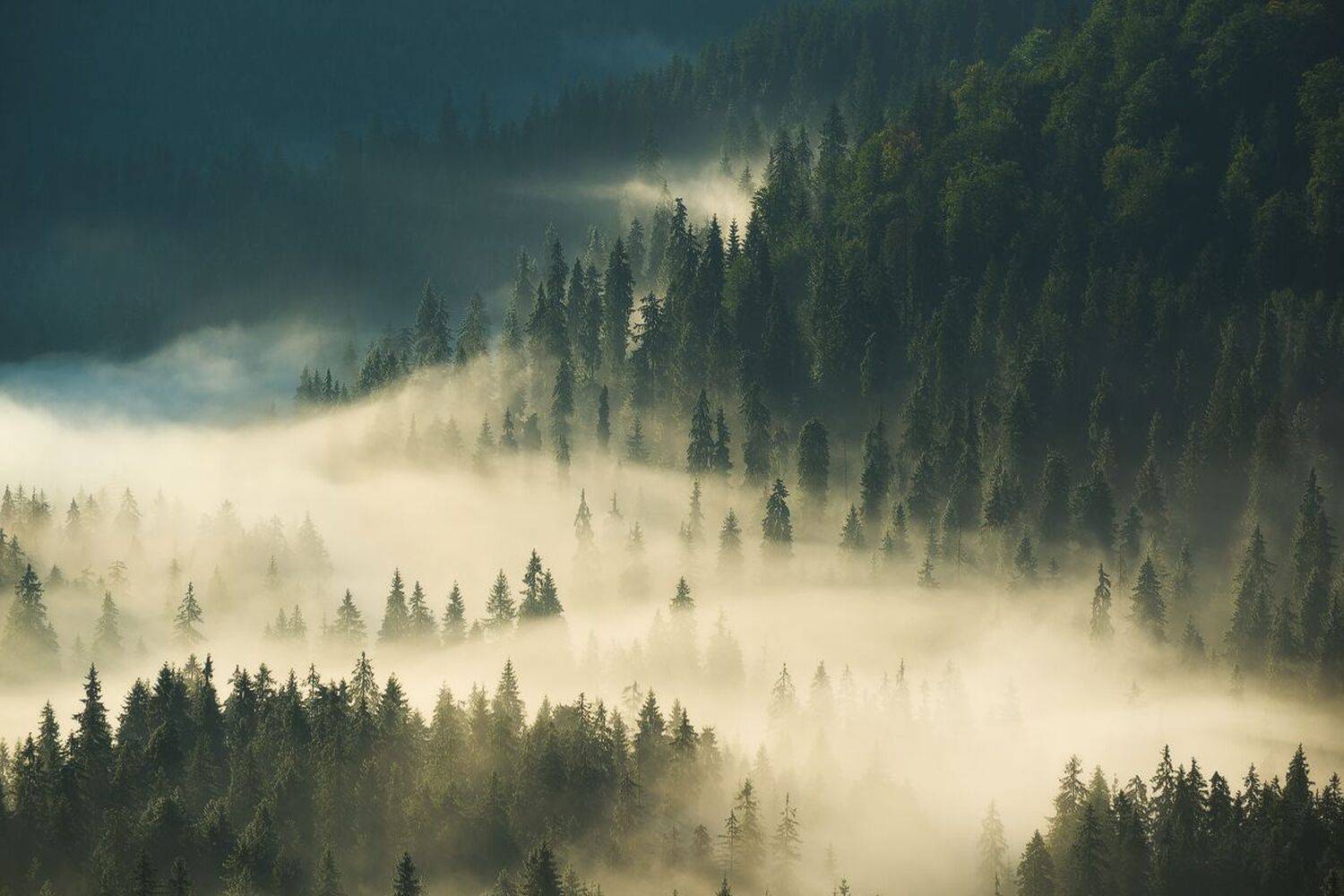 , Stefan Chirobocea