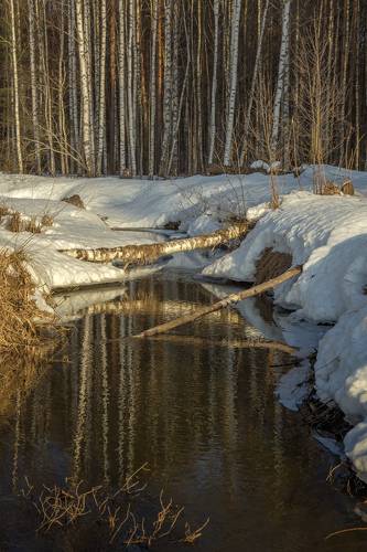 Тюряха просыпается