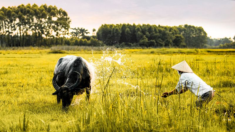 sắc màu фото превью