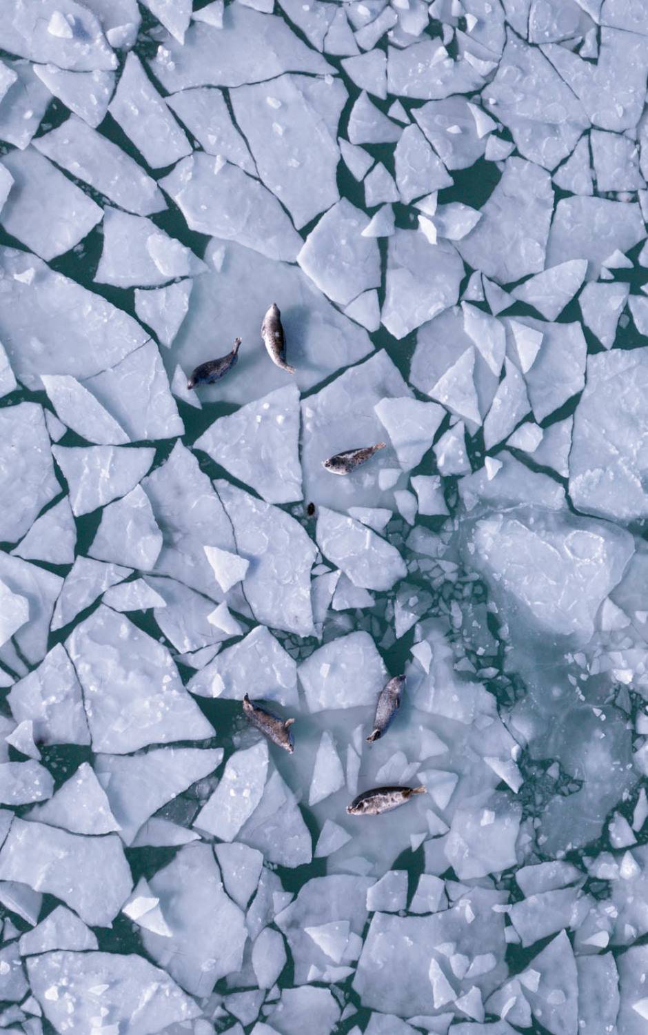 , Игорь Дудковский