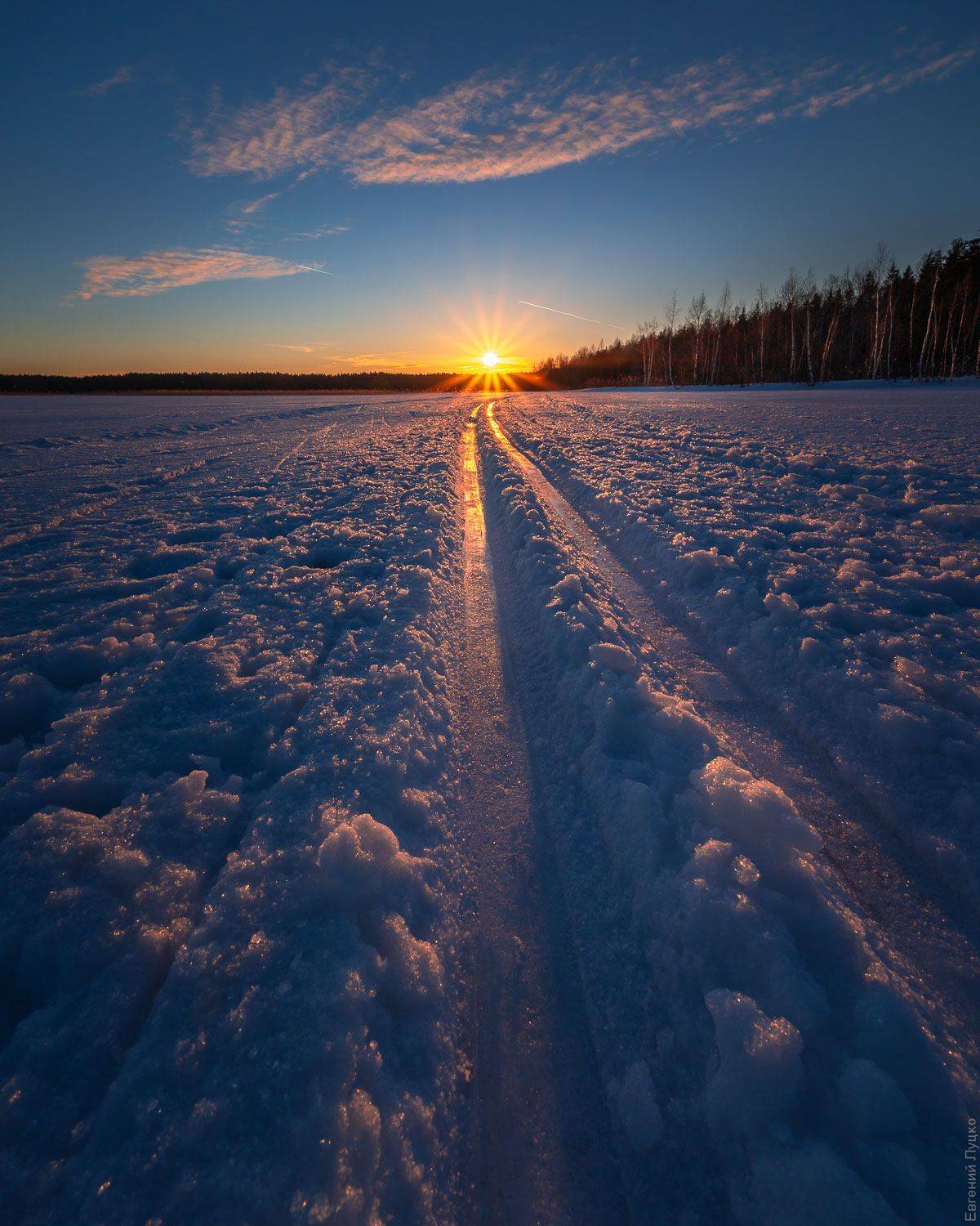 , Евгений Луцко