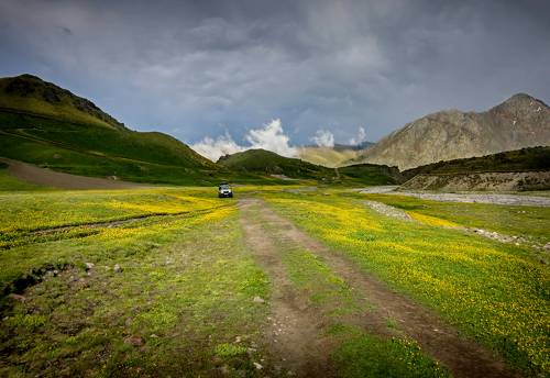 После летнего ливня