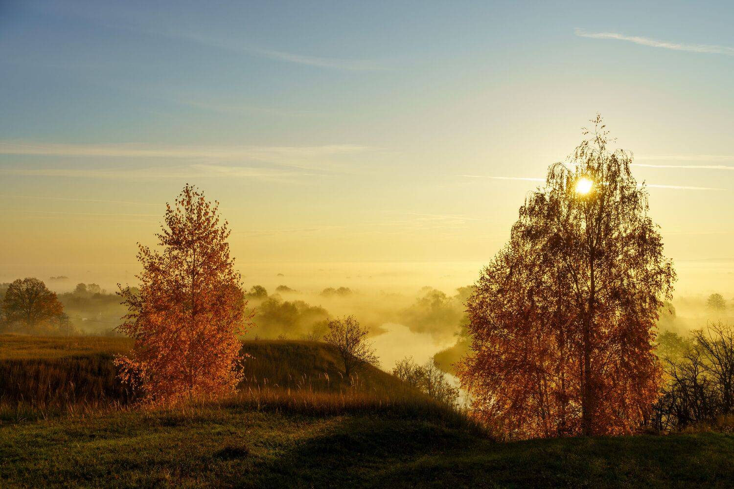 , Барабанов Алексей