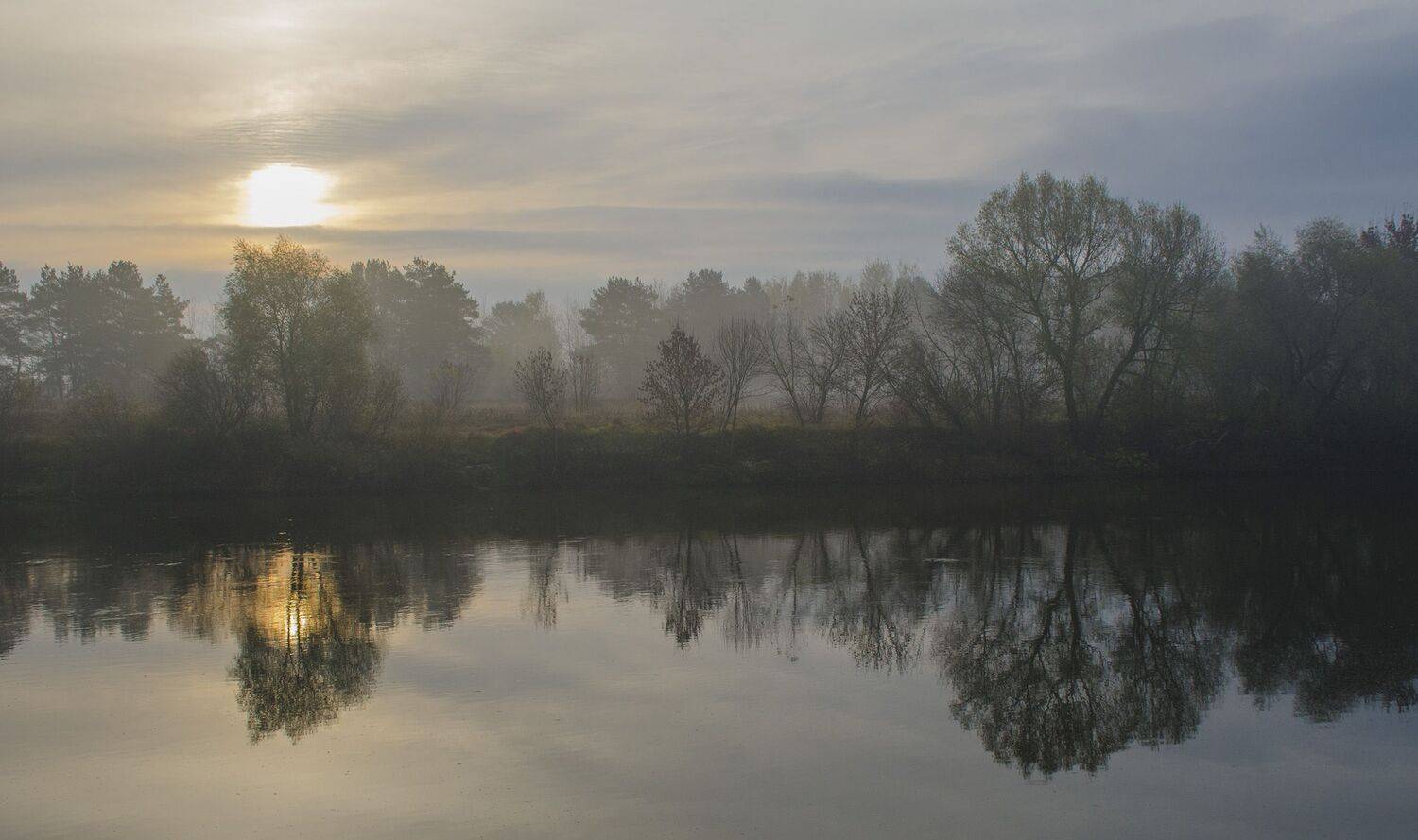 природа. туман. утро, Александр Березуцкий