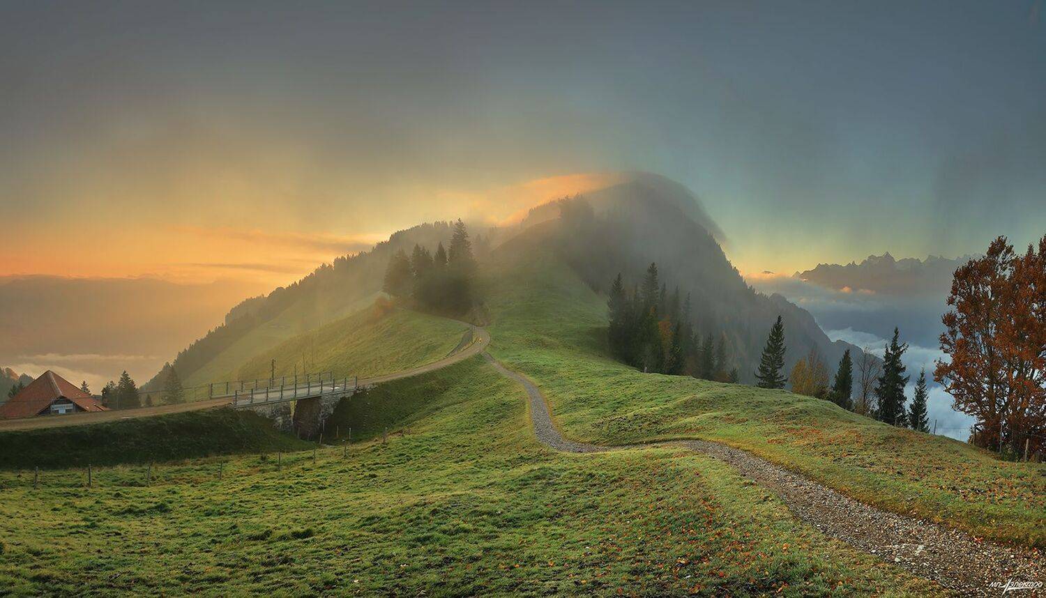 swiss, Матвеев Николай