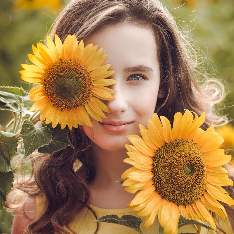 Подсолнухи фото превью