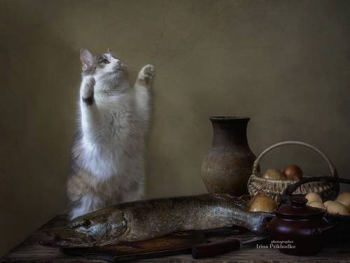 Вот такая рыбина!