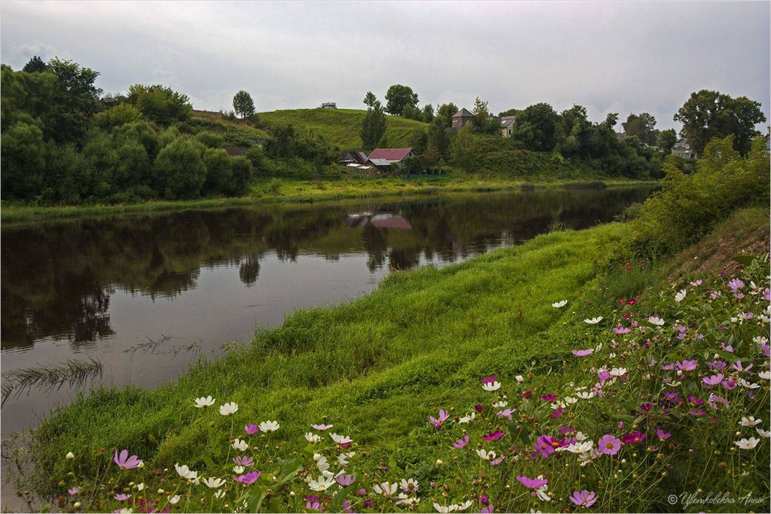торжок, лето, цветы, река, Анна Цветковская
