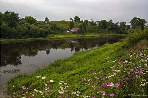 Лето в Торжке