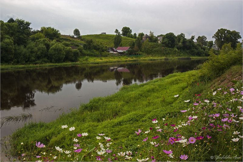 торжок, лето, цветы, река Лето в Торжке фото превью