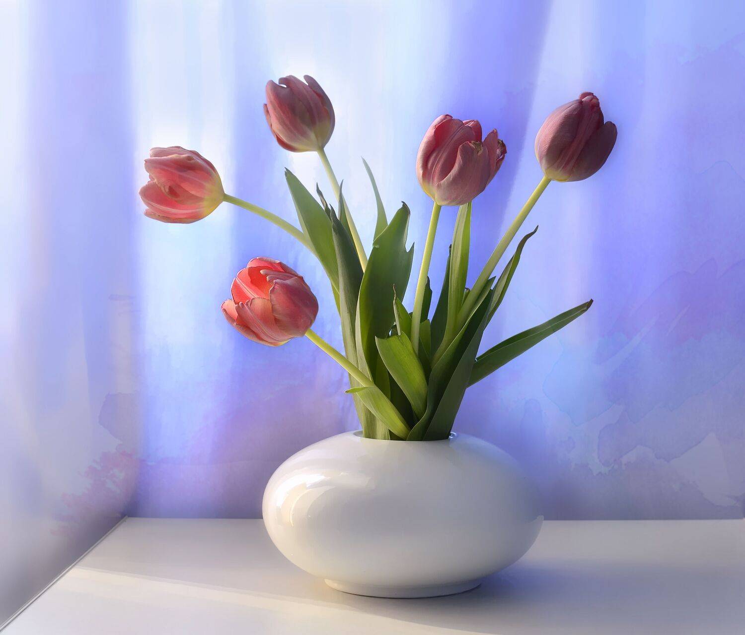 натюрморт,композиция,свет,весна,букет, Инаида