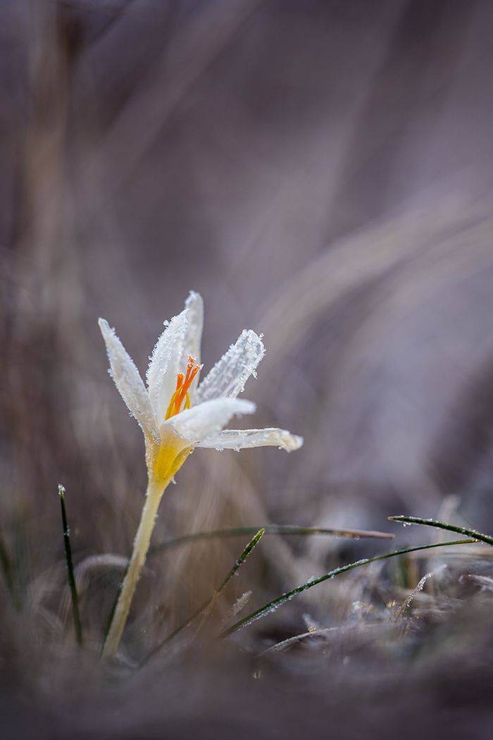 , Илья Михеев