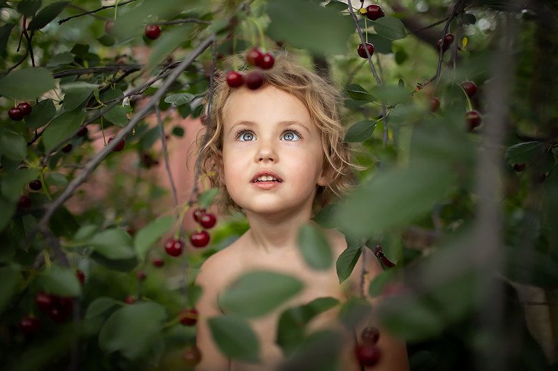 фото превью