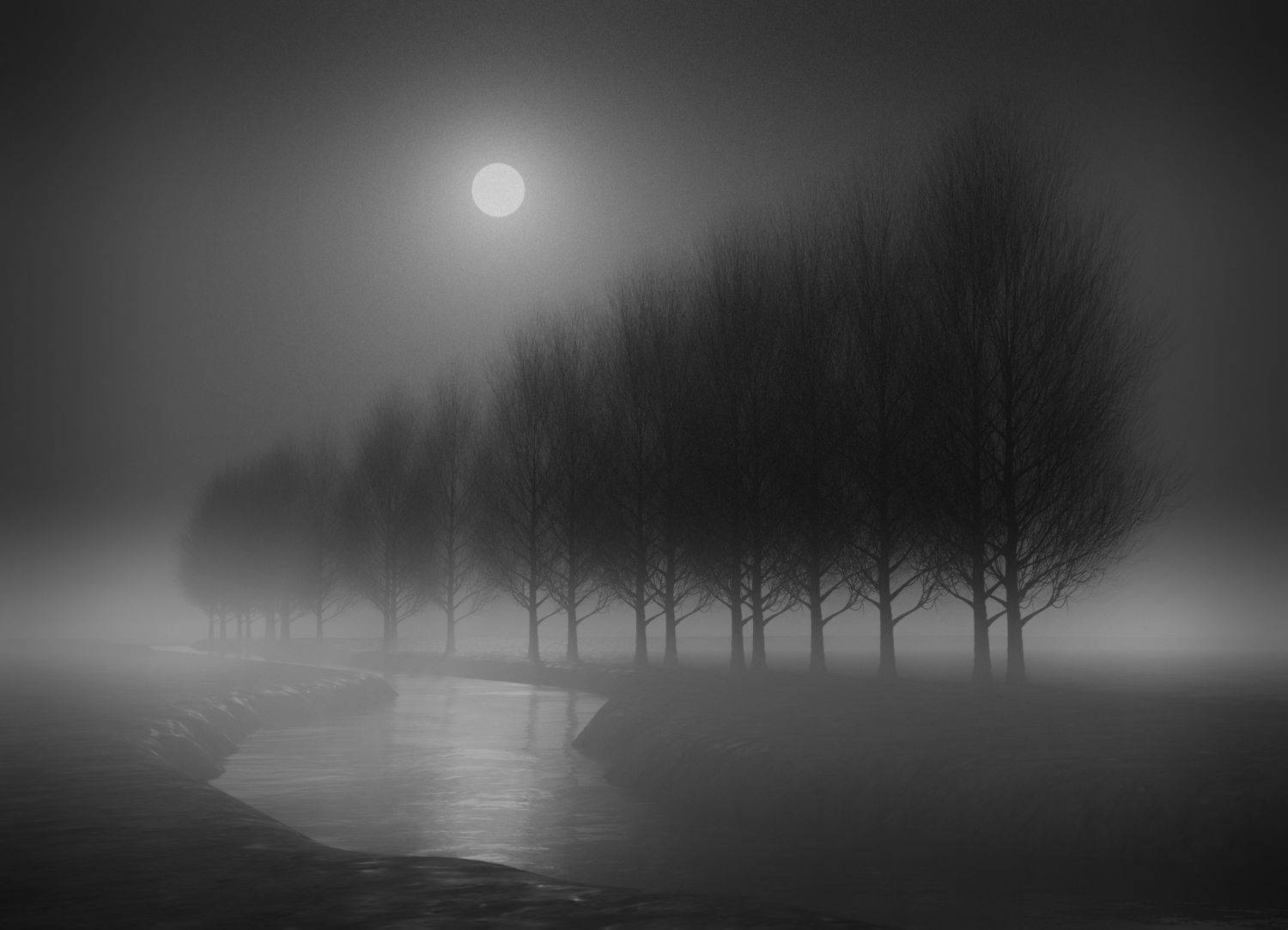 tree,blackandwhite,fogy, Amirhossein Naghian