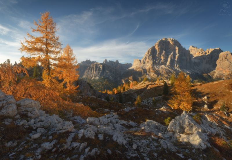 Tofana di Rozes фото превью