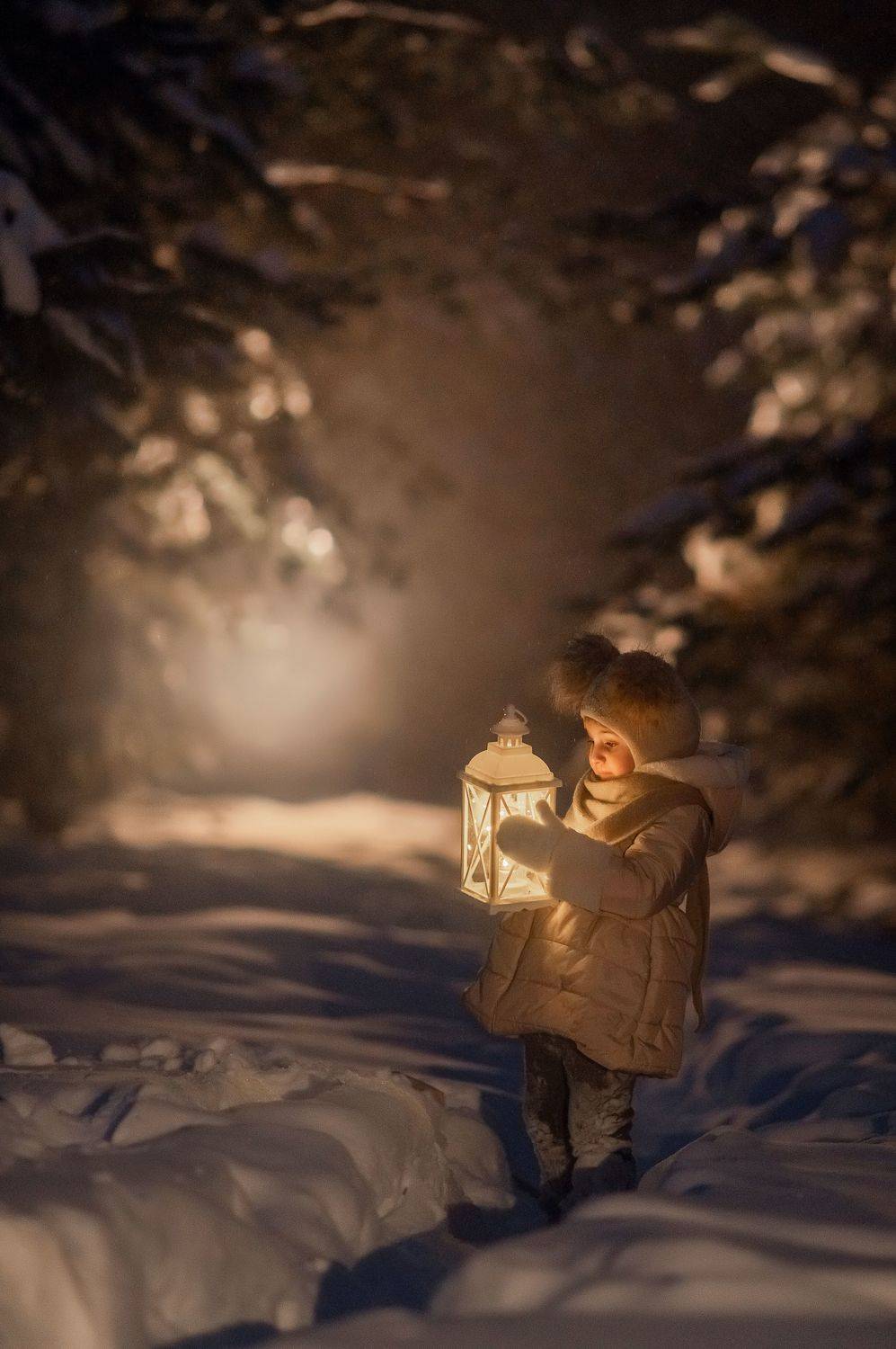 Плещеево озеро, фотограф Переславль-Залесский, вечерняя фотосъёмка в Переславле. Зима в Переславле., Усова Елена