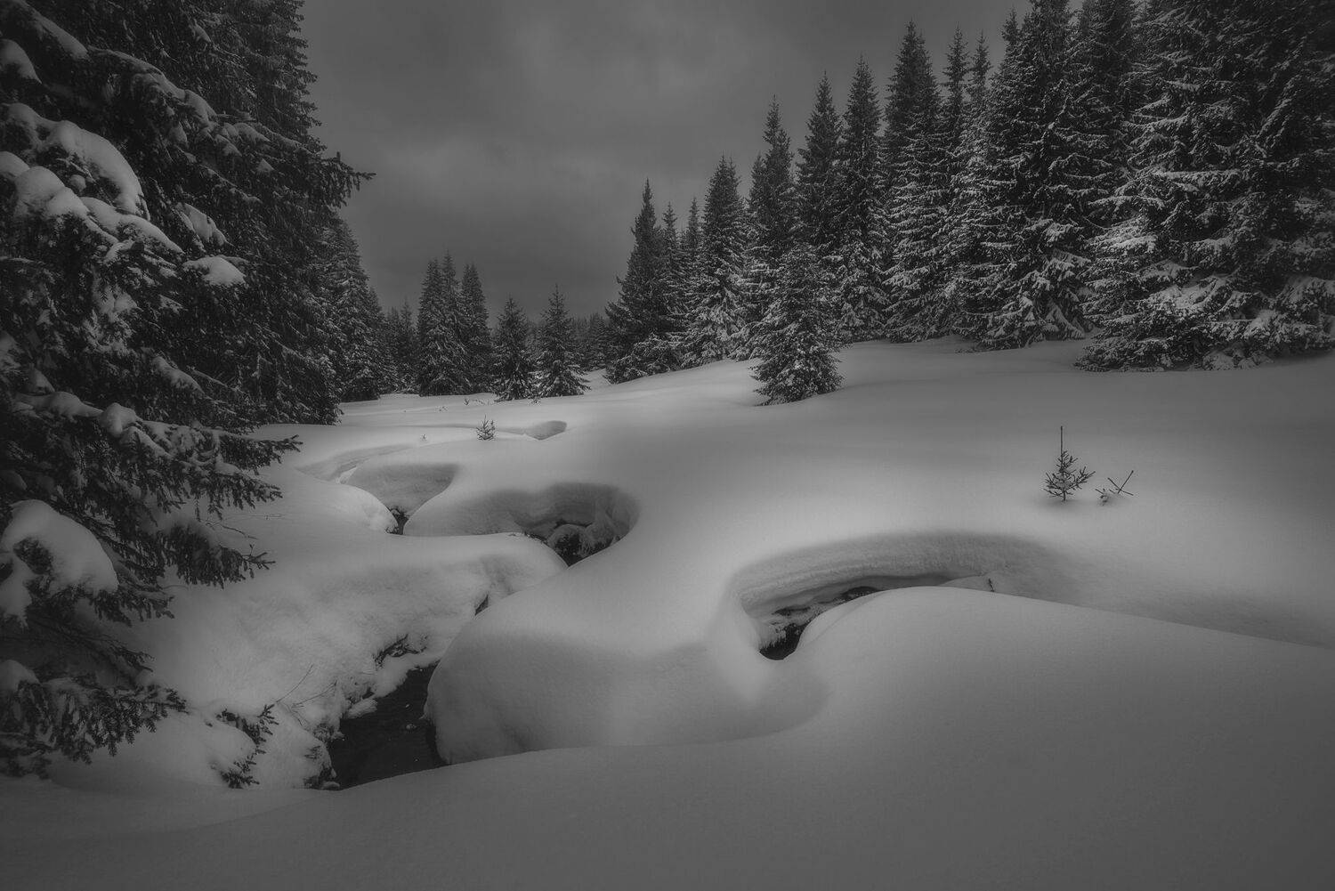 , Mariyana Atanasova - Lucero