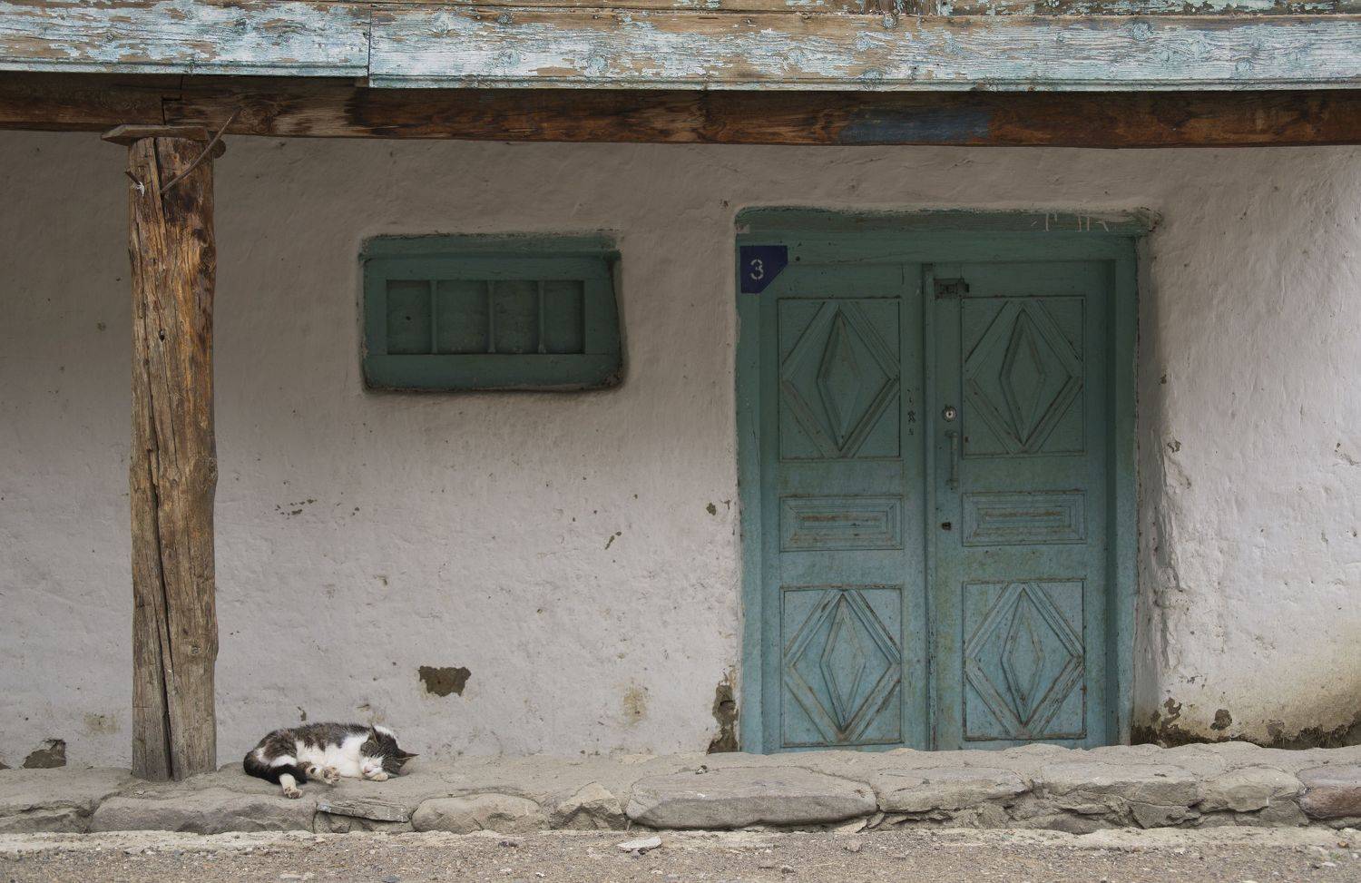 кот, дом, сон, покой, день, тень, кавказ, дагестан, корода, село, стена, дверь, окно, Сергей Козлов