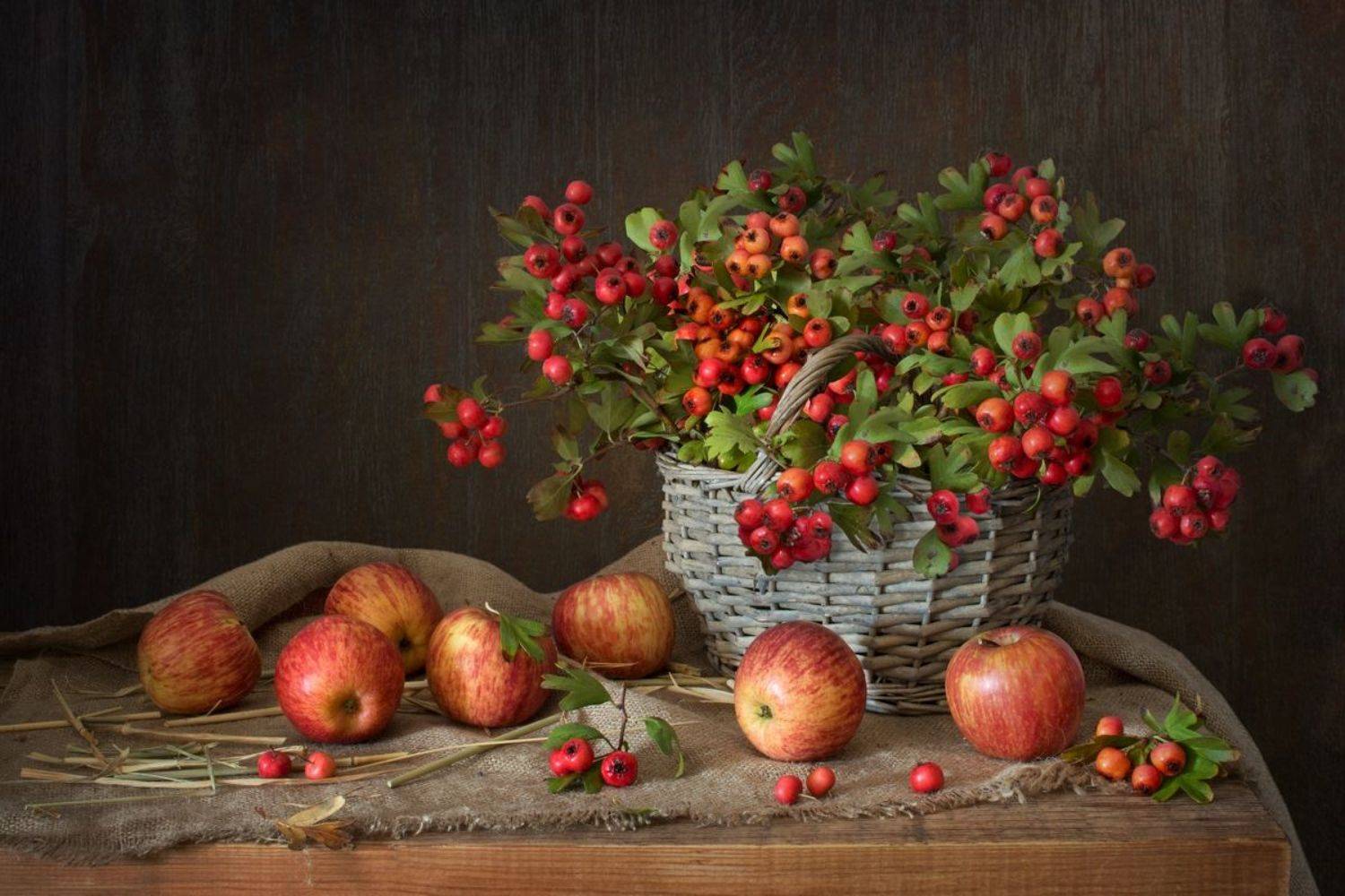 , Людмила Бекман