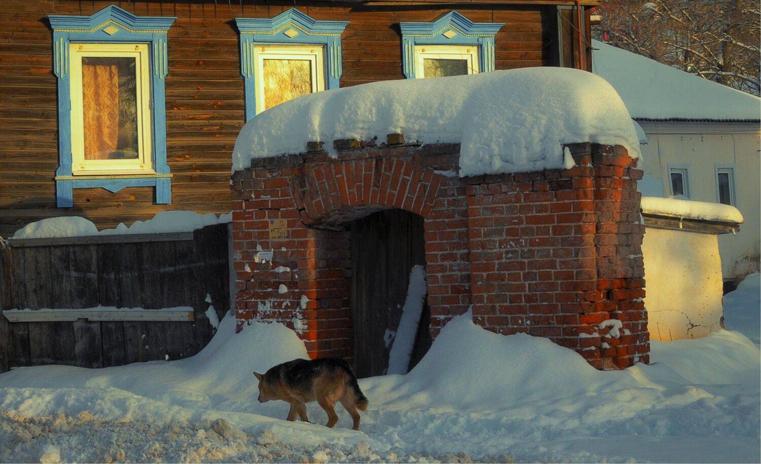 собака стена ворота, Вера Петри