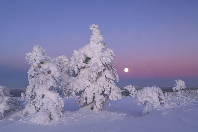 Кольские сопки. фото превью