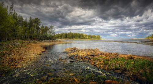 Перед дождем