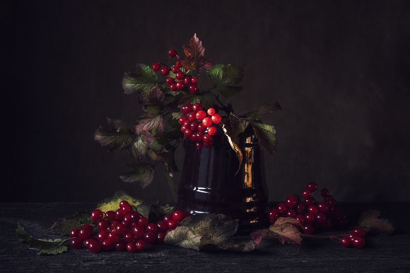 Калина фото превью