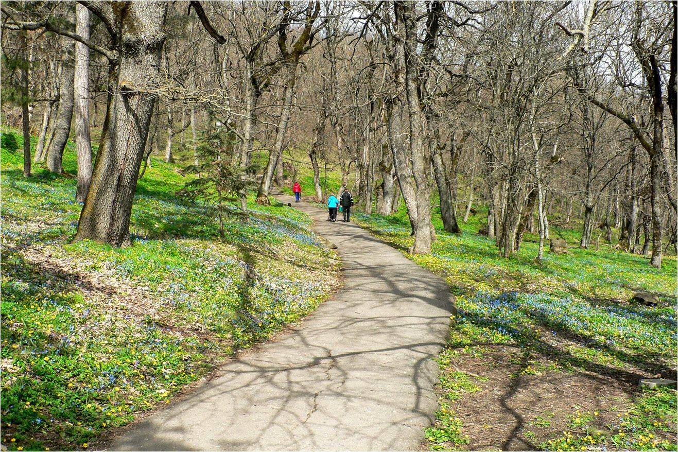 железноводск, КарОл