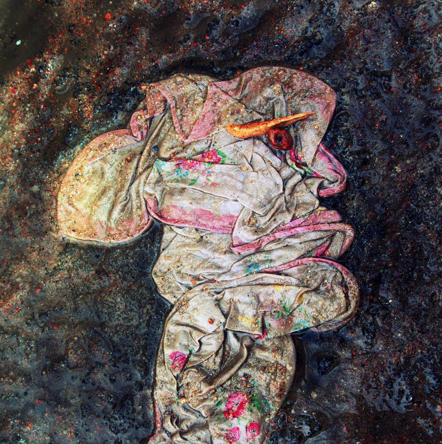 pareidolia, ПОЛУЕВ ИЛЬЯ