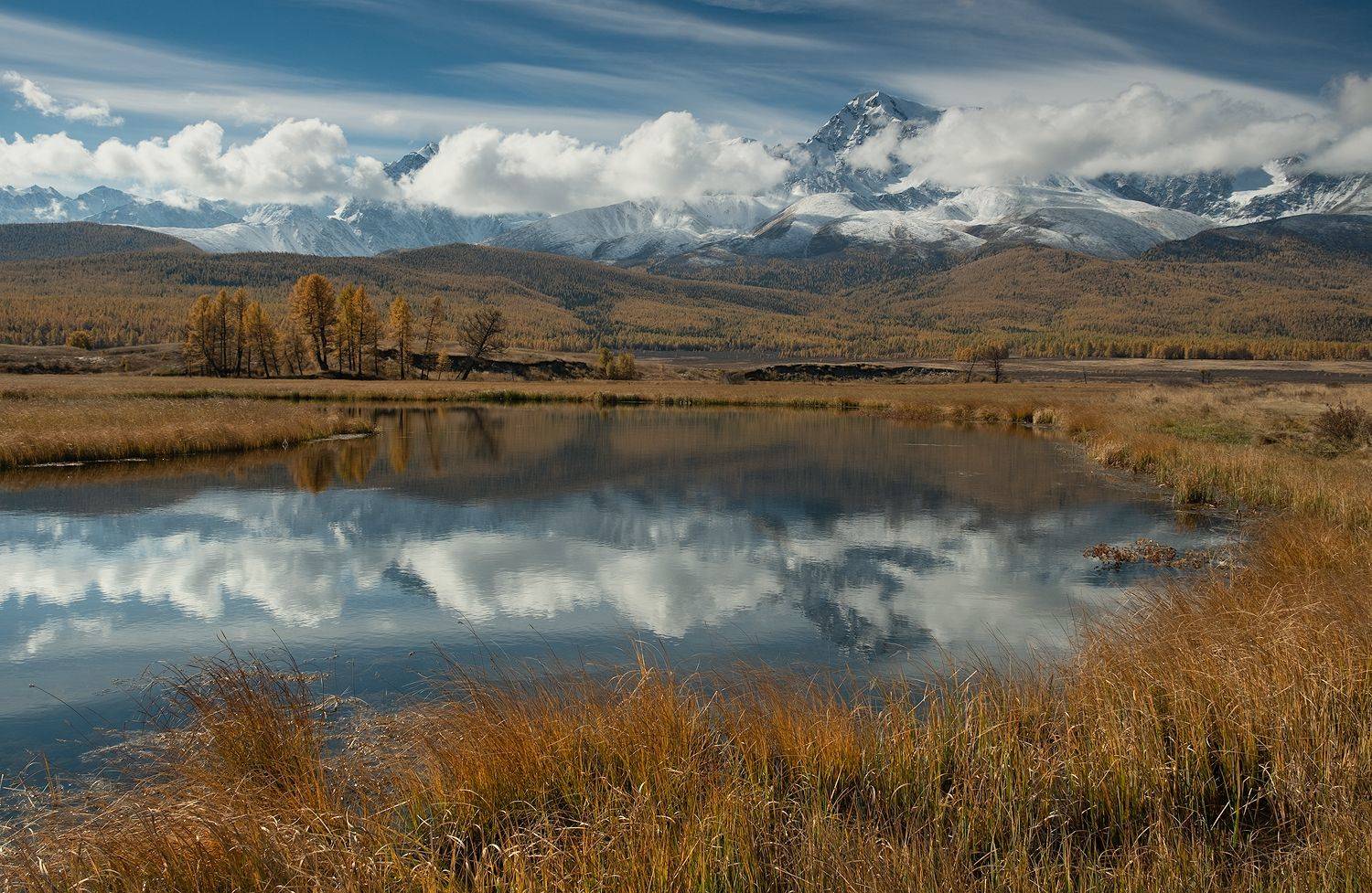 , Ольга Челдыкова