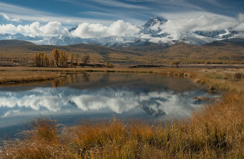 ... фото превью
