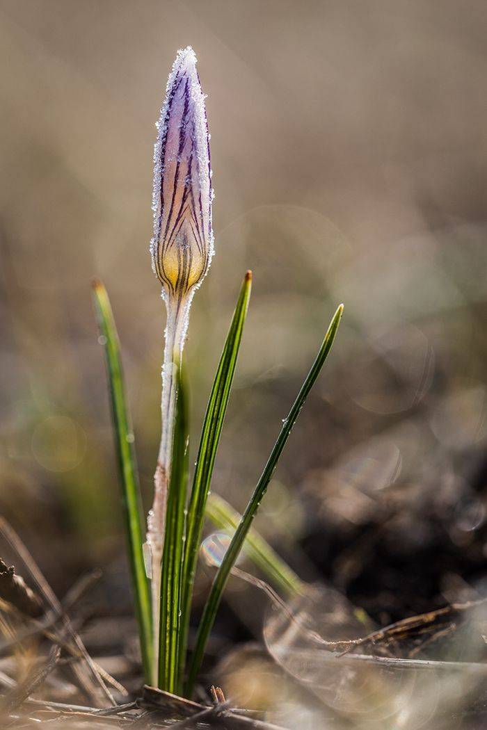 , Илья Михеев