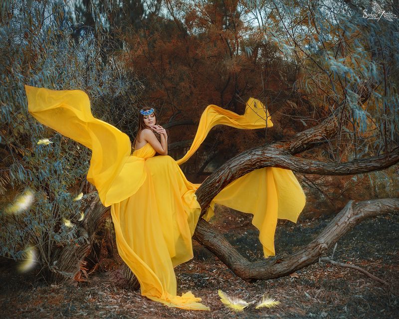 ЖЕЛТАЯ ПТИЧКА фото превью