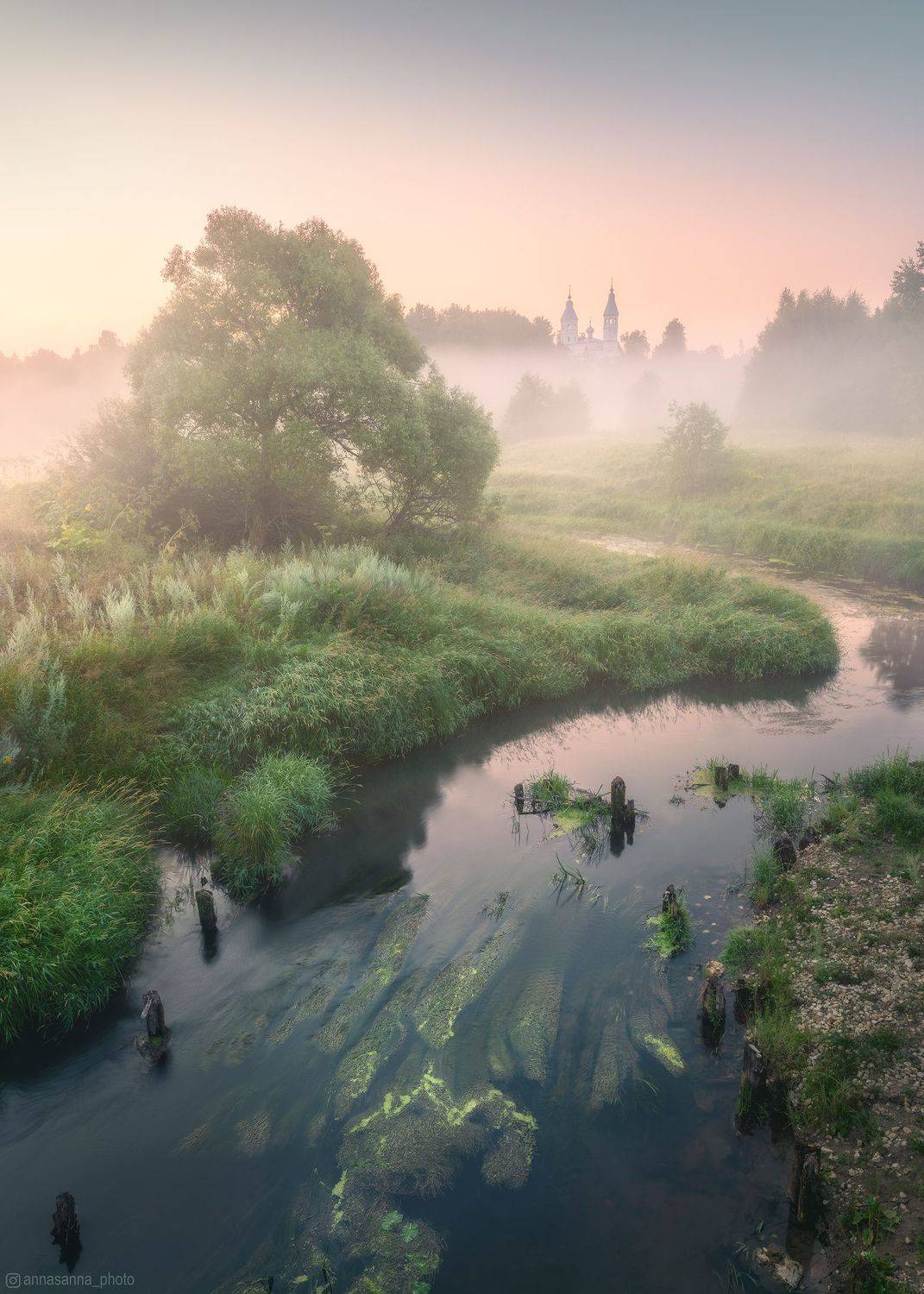 , Анна Политова