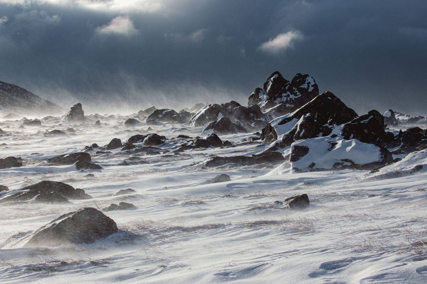 , Татьяна Борисова