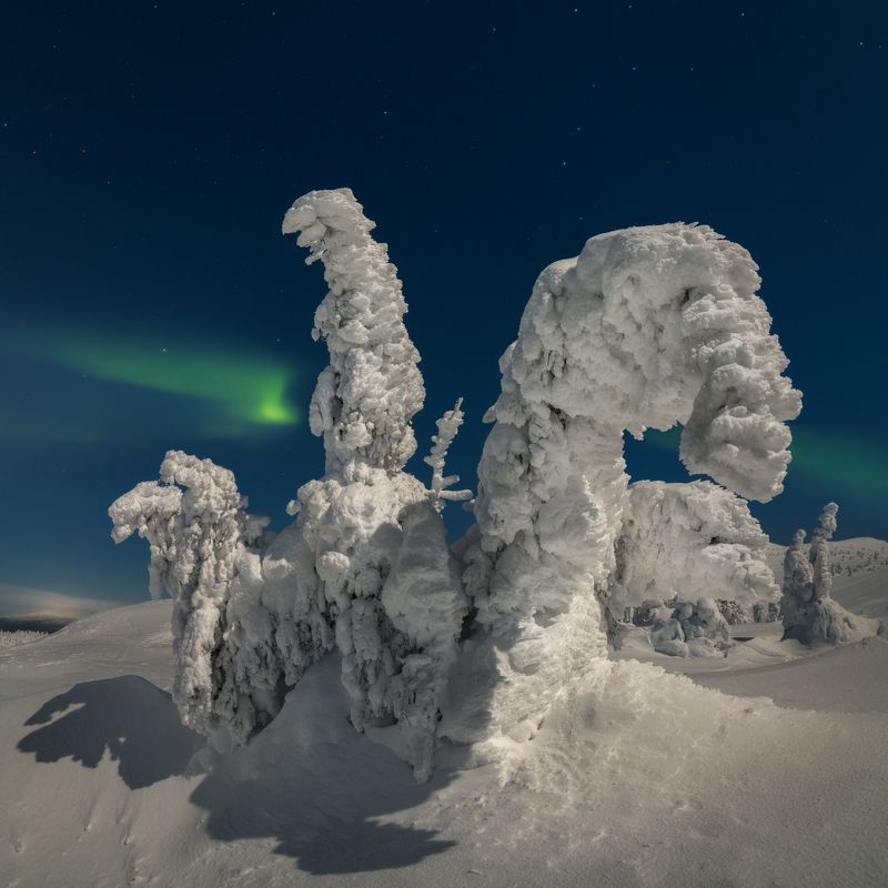 кольский Снежные монстры фото превью