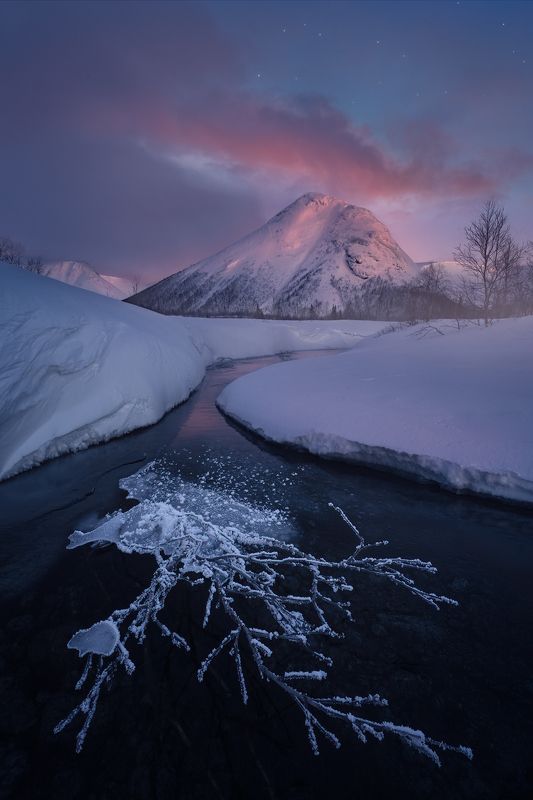 север, кольский, лес, зима, хибины, река Хребет Поачвумчорр фото превью