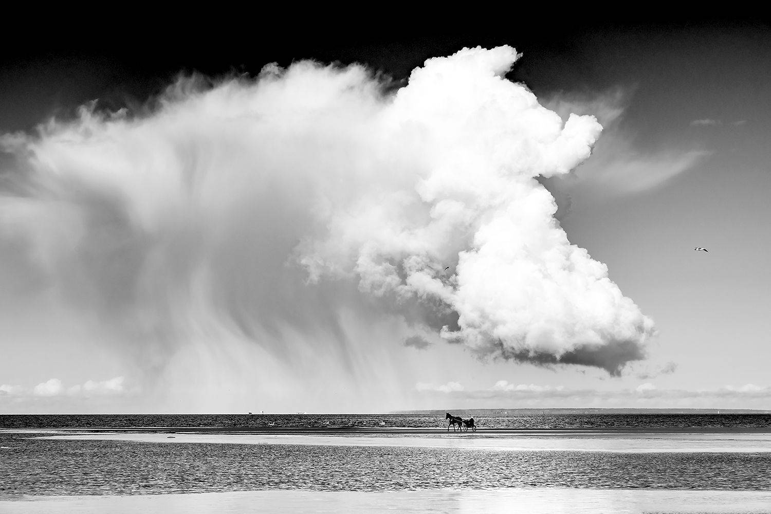 , Александр Абросимов