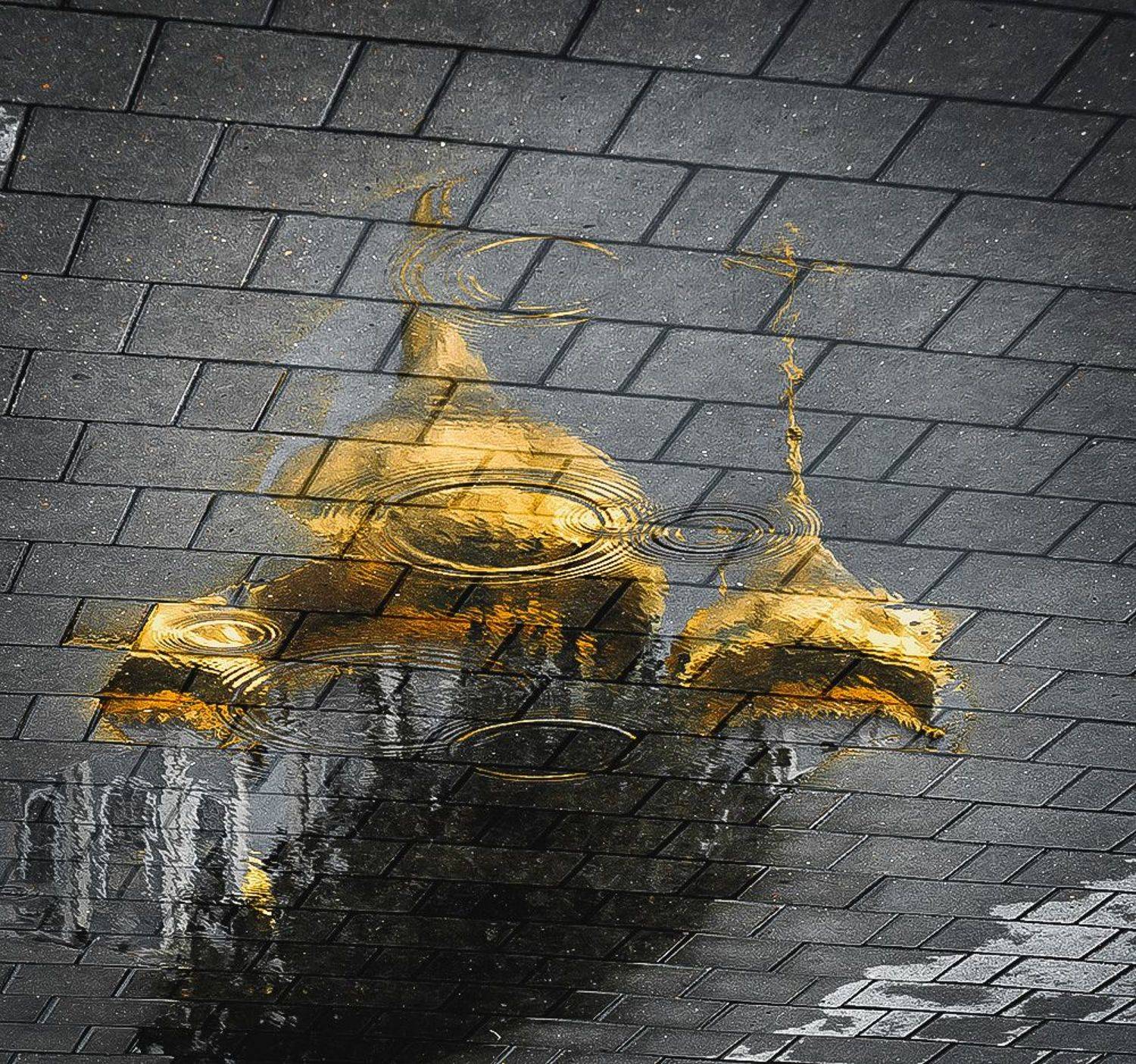 , Анатолий Зверев