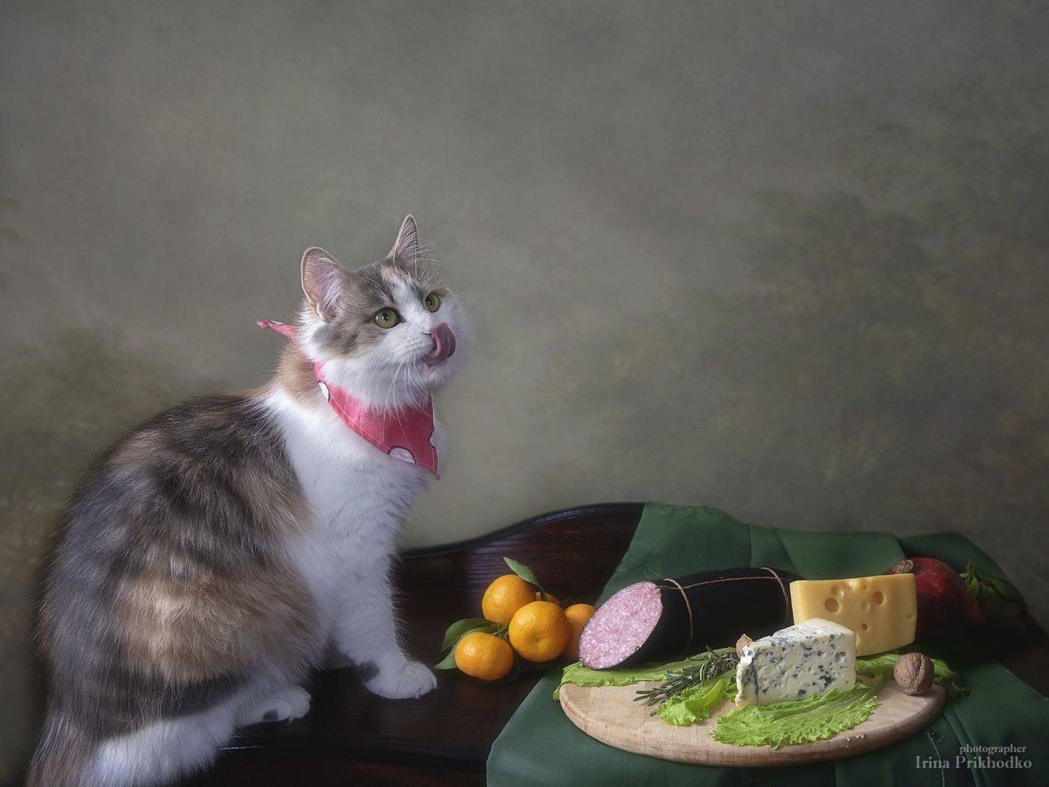 котофото, котонатюрморт, постановочное фото, котики, домашние питомцы, еда, натюрморт, Приходько Ирина