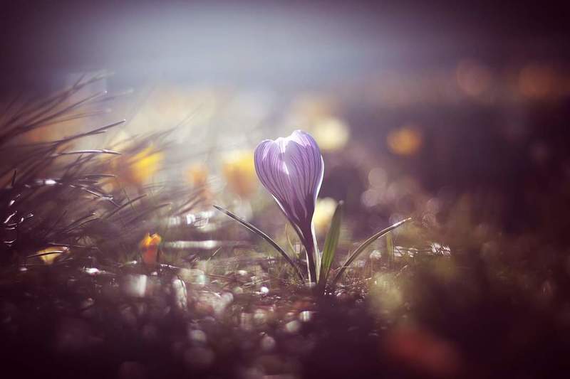 ... фото превью